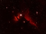 Flame and Horsehead Nebula Tarrengower, Central Victoria