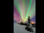 Christmas Tree Aurora - Fairbanks, Alaska