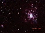 March 1, 2016. Tarantula nebula. Single exposure of 30 sec x 6400 iso thru a LX600 scope and canon 1200d camera.