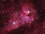 Eta carina nebula thru a 10" LX600 scope. 30 sec exposure with Canon 1200d modified.