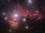 Horse Head and Flame nebula