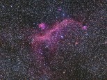 IC 2177 or the Seagull nebula.