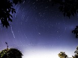 Star trails through the trees