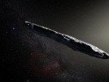Interstellar Asteroid Oumaumau