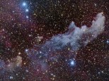 The Witch Head Nebula - 240 minutes with the Companar 132/330 and QHY8 from the LMDSS.
