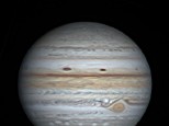 Jupiter on October 5th 2021, 11 images derotated. 12" F5 on Eq Platform ZWO ASI224MC, 3 x Barlow, ZWO ADC, IR Cut