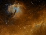IC 2177 (Seagull) nebula