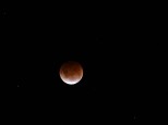 Lunar Eclipse this May