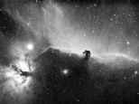 Horse head nebula Ha